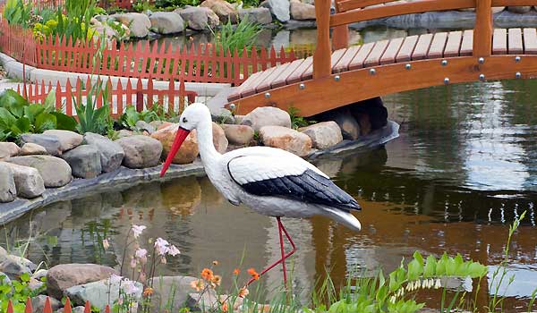 Designing A Fish Pond For Your Garden