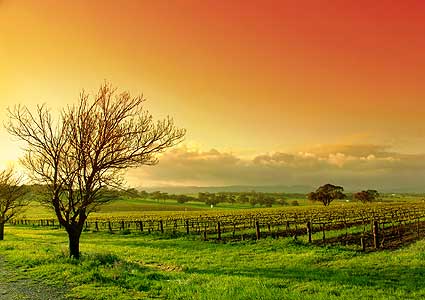 How Composting Works