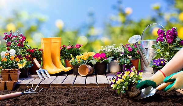 Gardening Starts With Good Soil