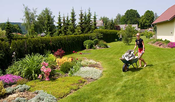 Gardening Made Easy: Your Guide To A Beautiful Garden