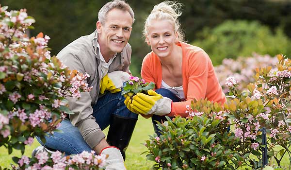 4 Steps To Successful Gardening: Planning, Preparation, Planting & Maintenance