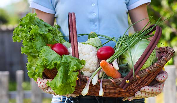 Vegetable Gardening: How To Grow Healthy And Fresh Veggies