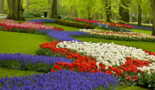 Flower Gardening - Annuals, Perennials and Bulbs